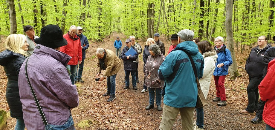 Grenzsteinwanderung Eichen