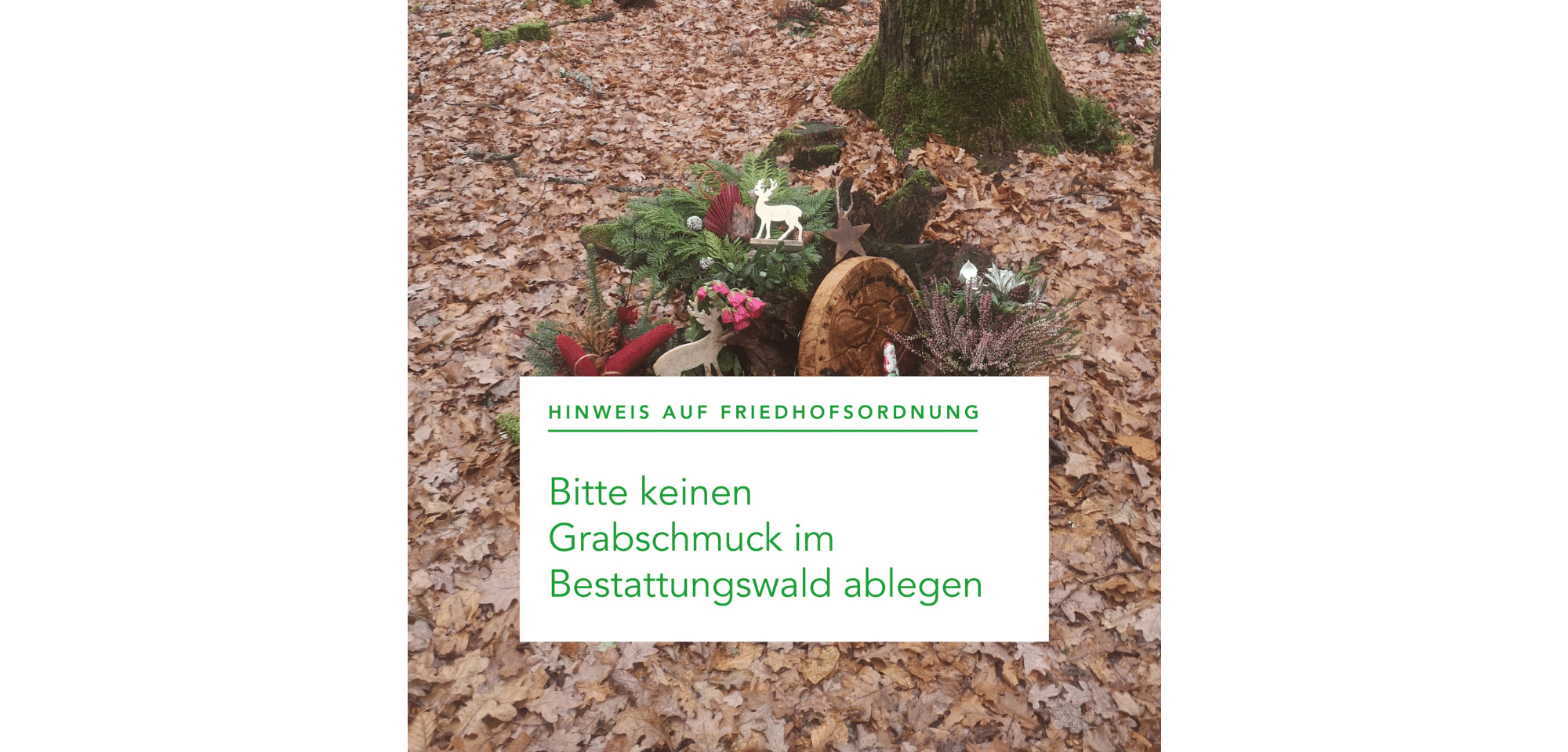Grabschmuck auf Waldboden