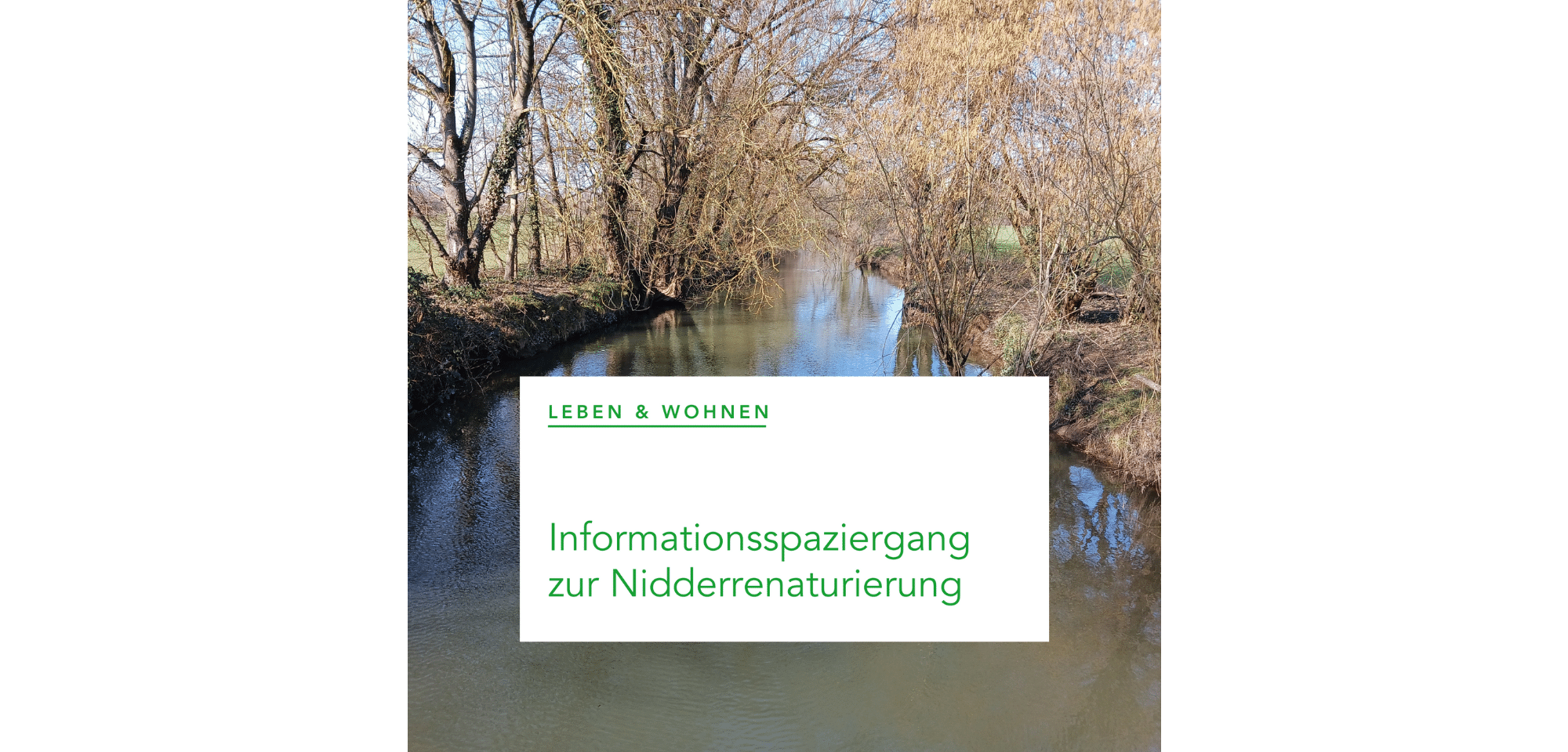 Bach (Nidder) mit Bäumen