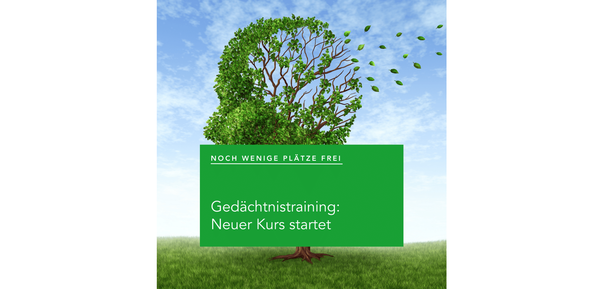 Baum, von dem Blätter wegfliegen