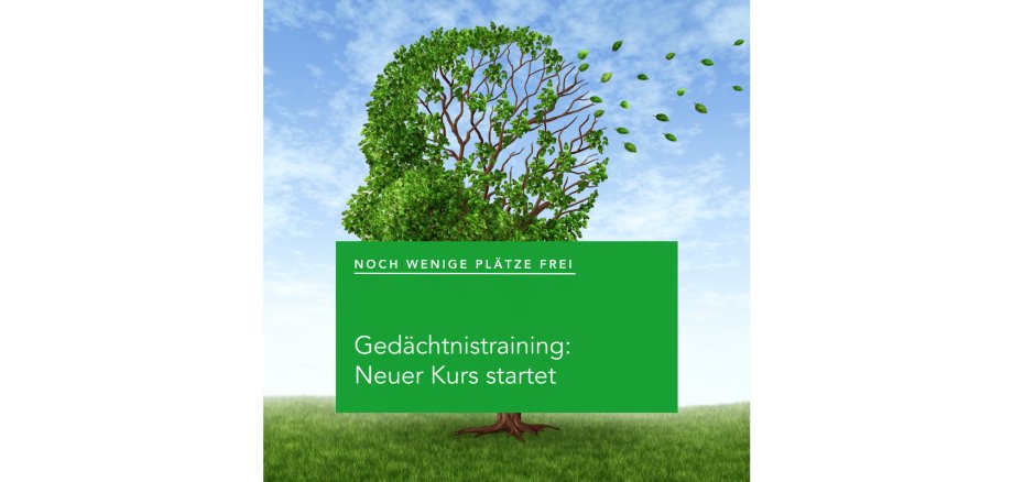 Baum, von dem Blätter wegfliegen