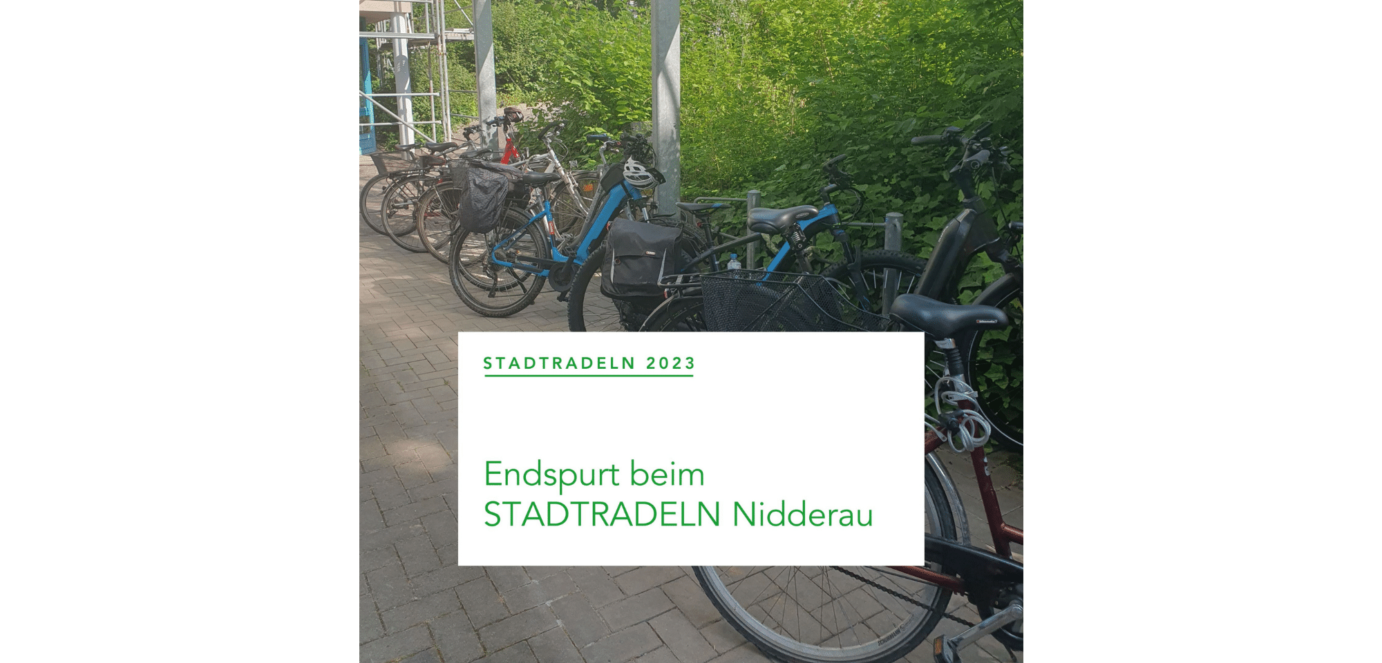 Mehrere Fahrräder an einem Fahrradständer