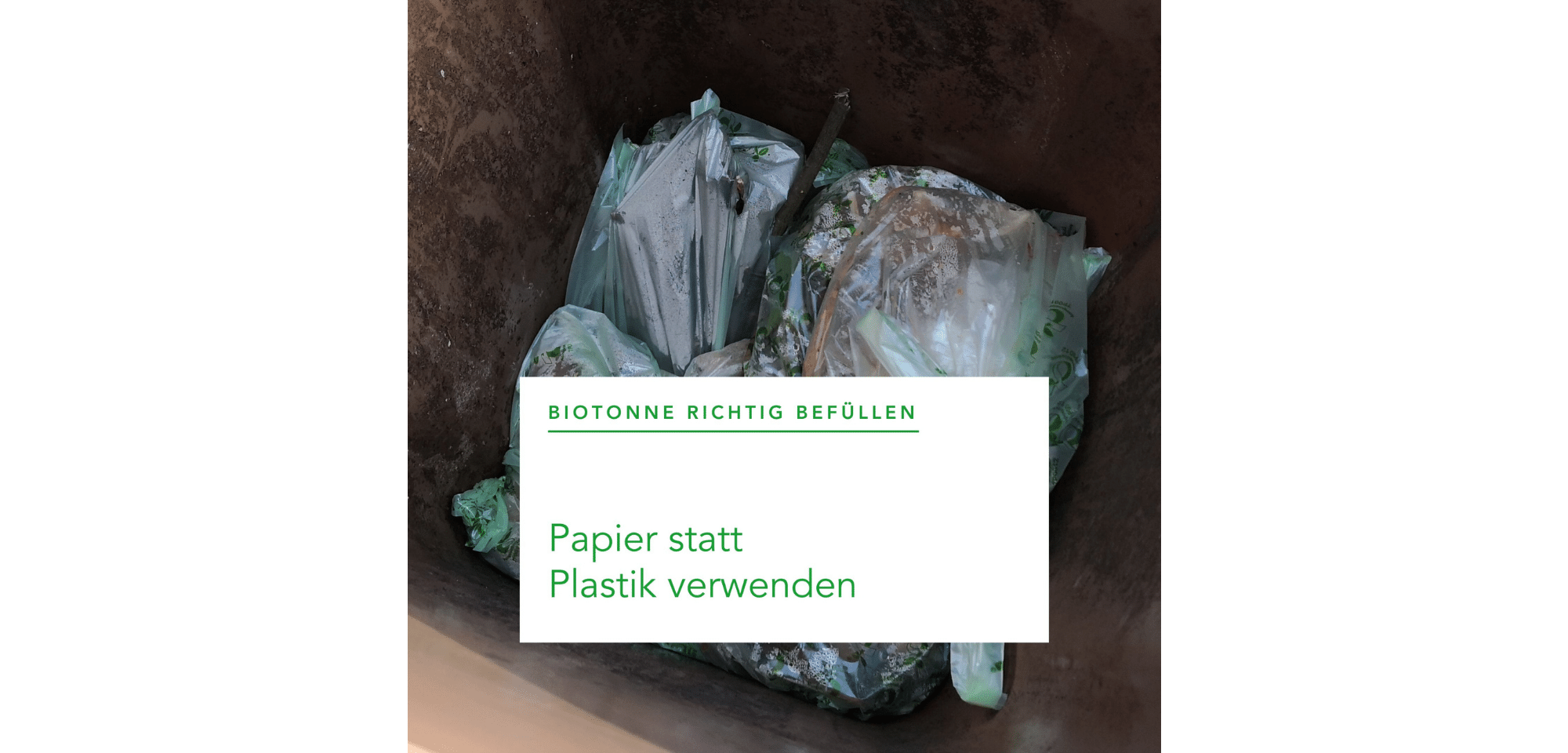 Kein Plastik in die Biotonne - Papier und Eierkartons sind richtig