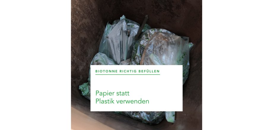 Kein Plastik in die Biotonne - Papier und Eierkartons sind richtig