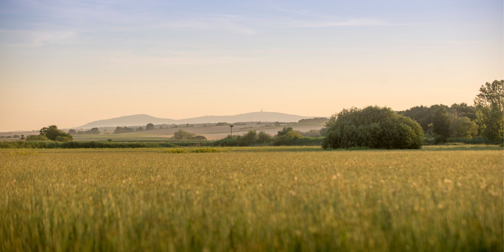 Blick über die Nidderaue