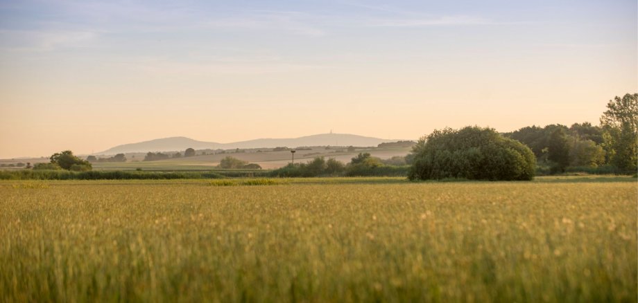 Blick über die Nidderaue