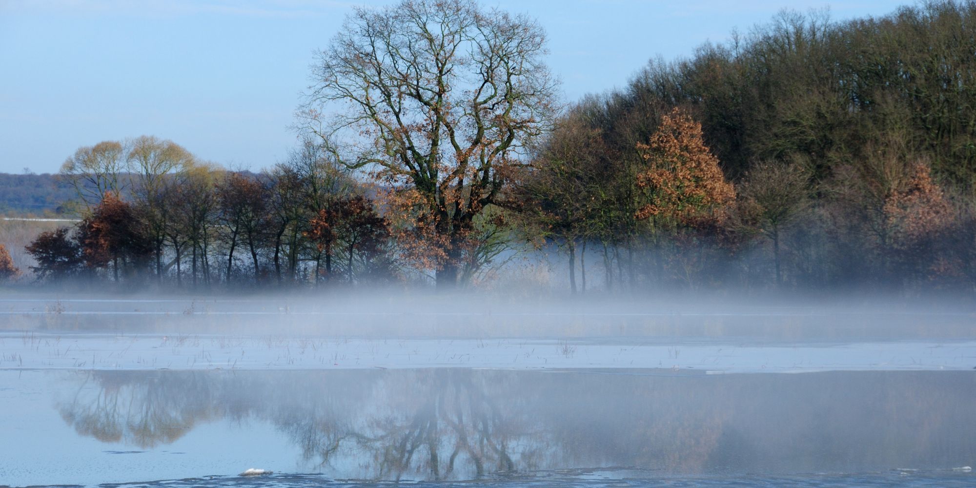 Überschwemmte Nidderauen