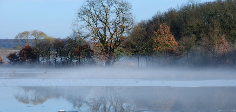 Überschwemmte Nidderauen