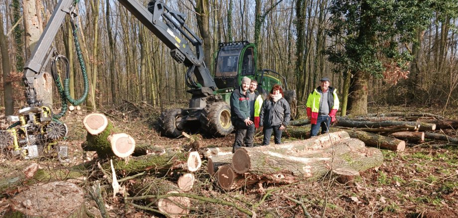 Traktor im Wald hinter gefällten Baumstämmen  und mit 4 Personen stehend