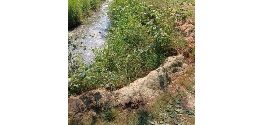 Große Haufen Rasenschnitt an einem Bach