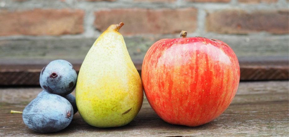 Pflaumen, Birne und Apfel