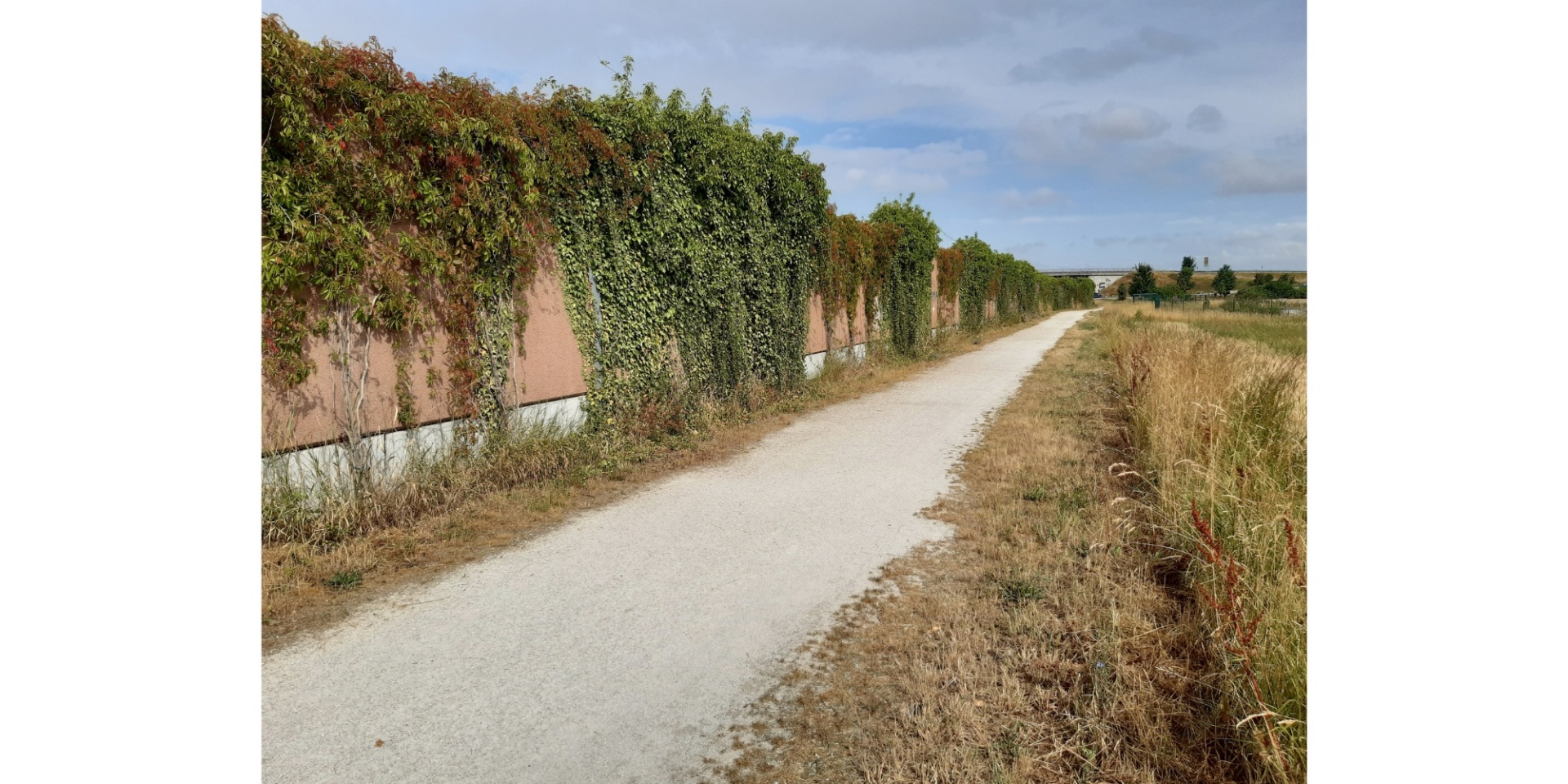 Weg im Feld mit Lärmschutzwand im Hintergrund