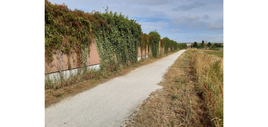 Weg im Feld mit Lärmschutzwand im Hintergrund