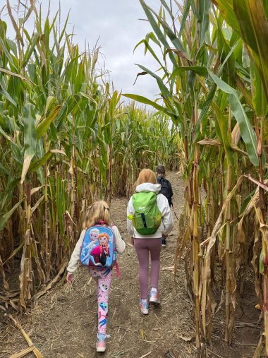 3 Kinder laufen durch ein Maislabyrinth