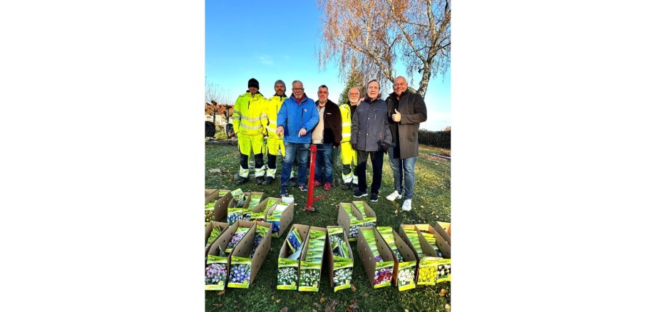 Mehrere Personen stehend hinter Kisten mit Blumenzwiebeln auf einem Friedhof