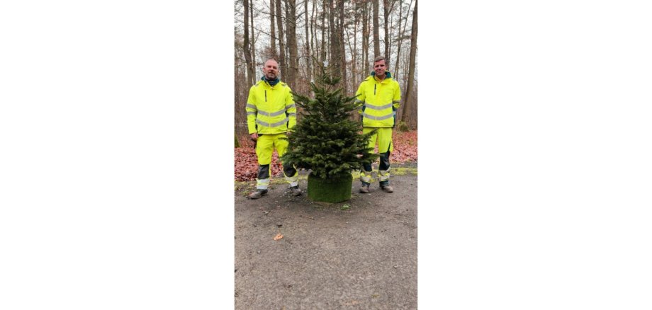 Zwei Männer in gelben Arbeitsanzügen stehen neben einem Tannenbaum in einem Wald