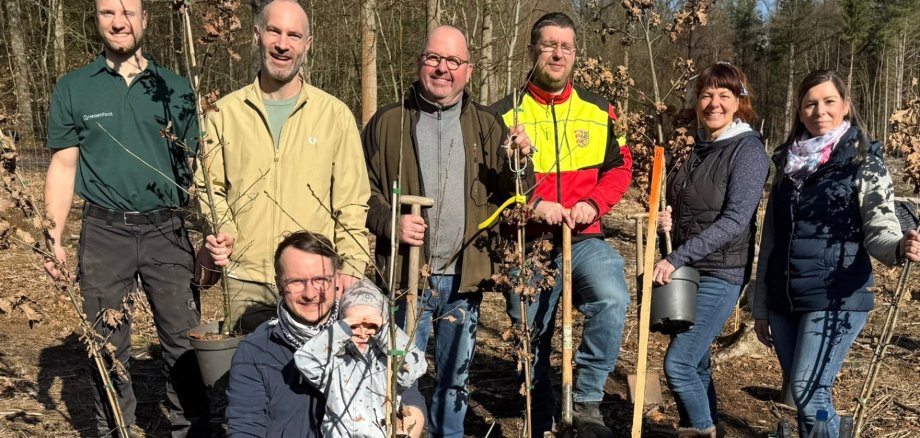 Mehrere Personen im Wald stehend oder kniend mit kleinen Baum-Setzlingen
