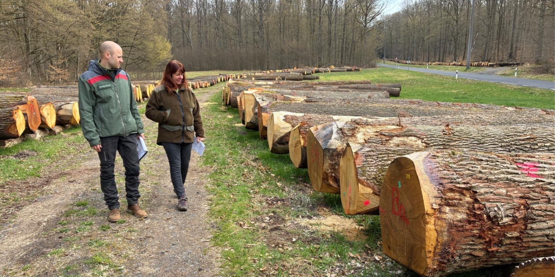Ein Mann und eine Frau gehend im Freien. Daneben eine Reihe Baumstämme.