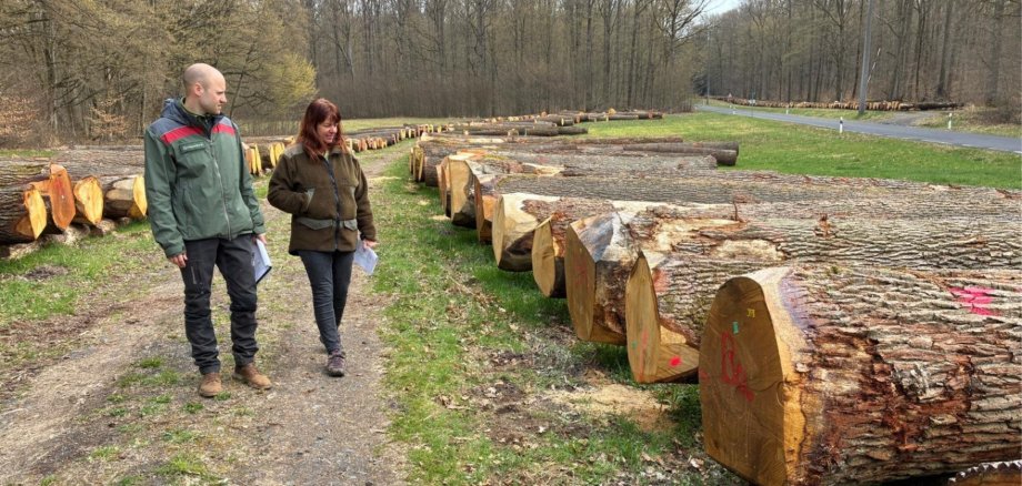 Ein Mann und eine Frau gehend im Freien. Daneben eine Reihe Baumstämme.