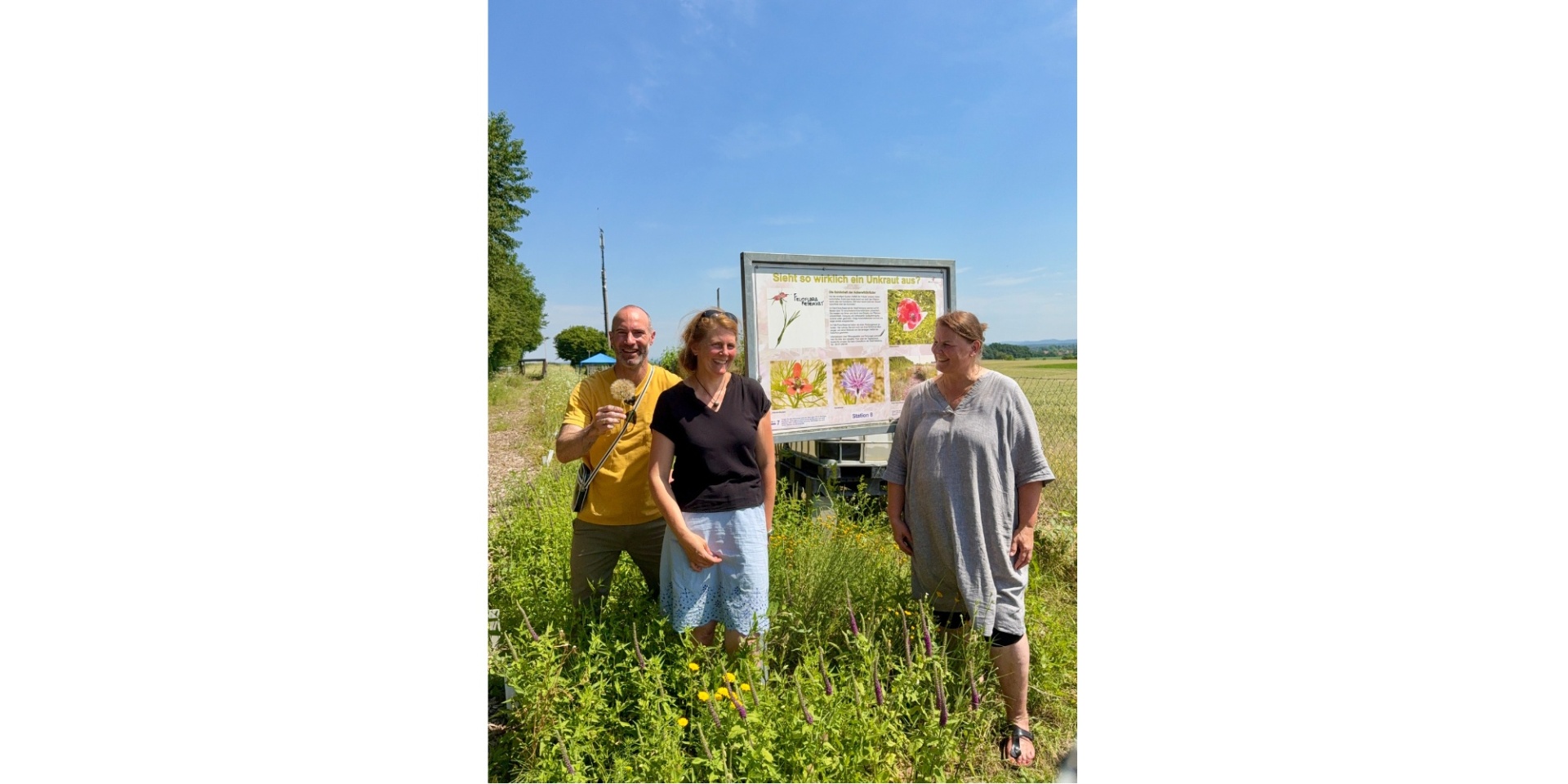 Drei Personen stehen in einem Feld