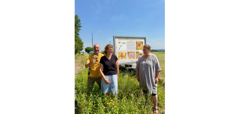 Drei Personen stehen in einem Feld