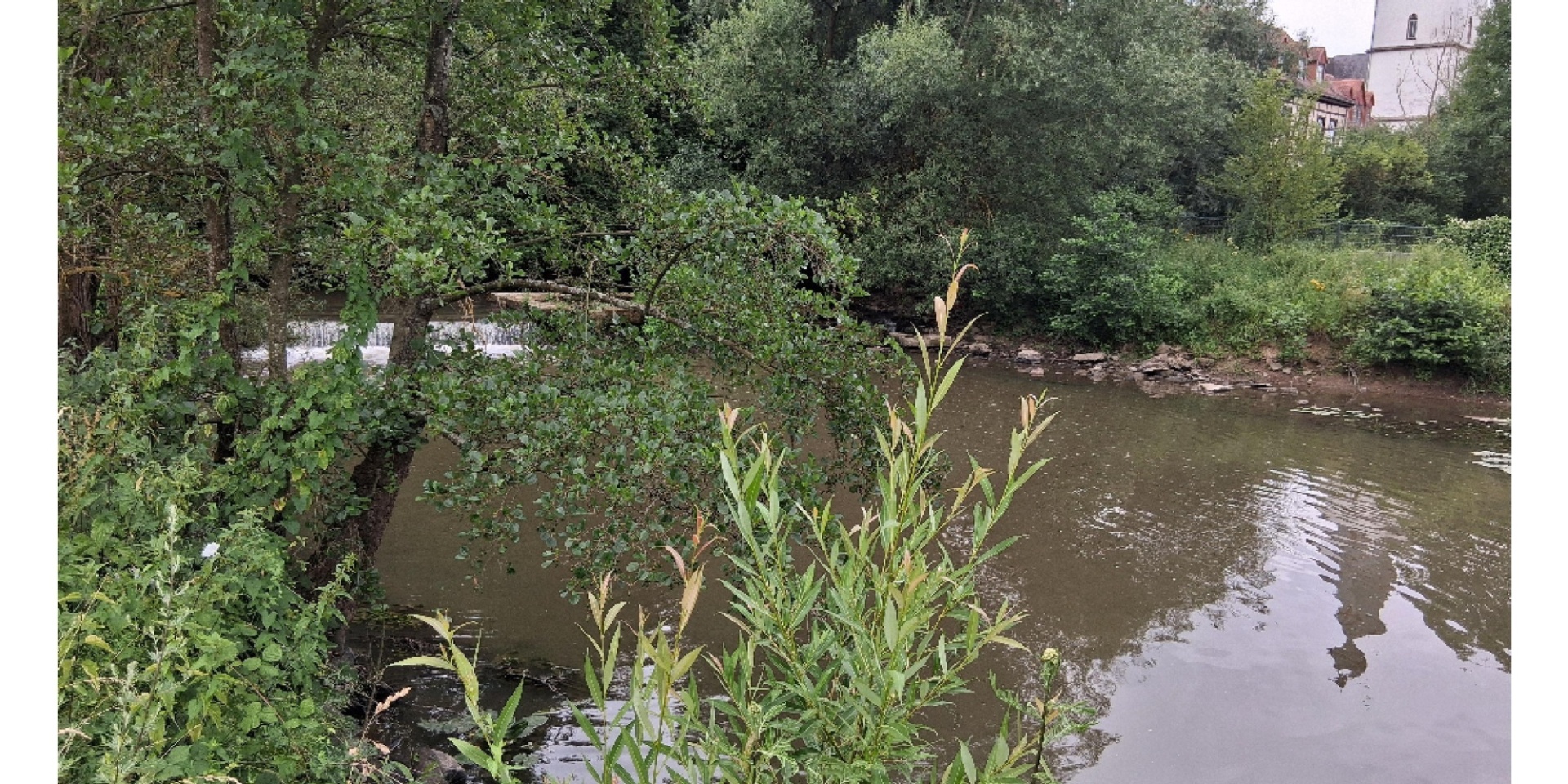 Flusslauf in der Natur. Im Hintergrund eine Kirche.
