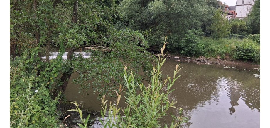 Flusslauf in der Natur. Im Hintergrund eine Kirche.
