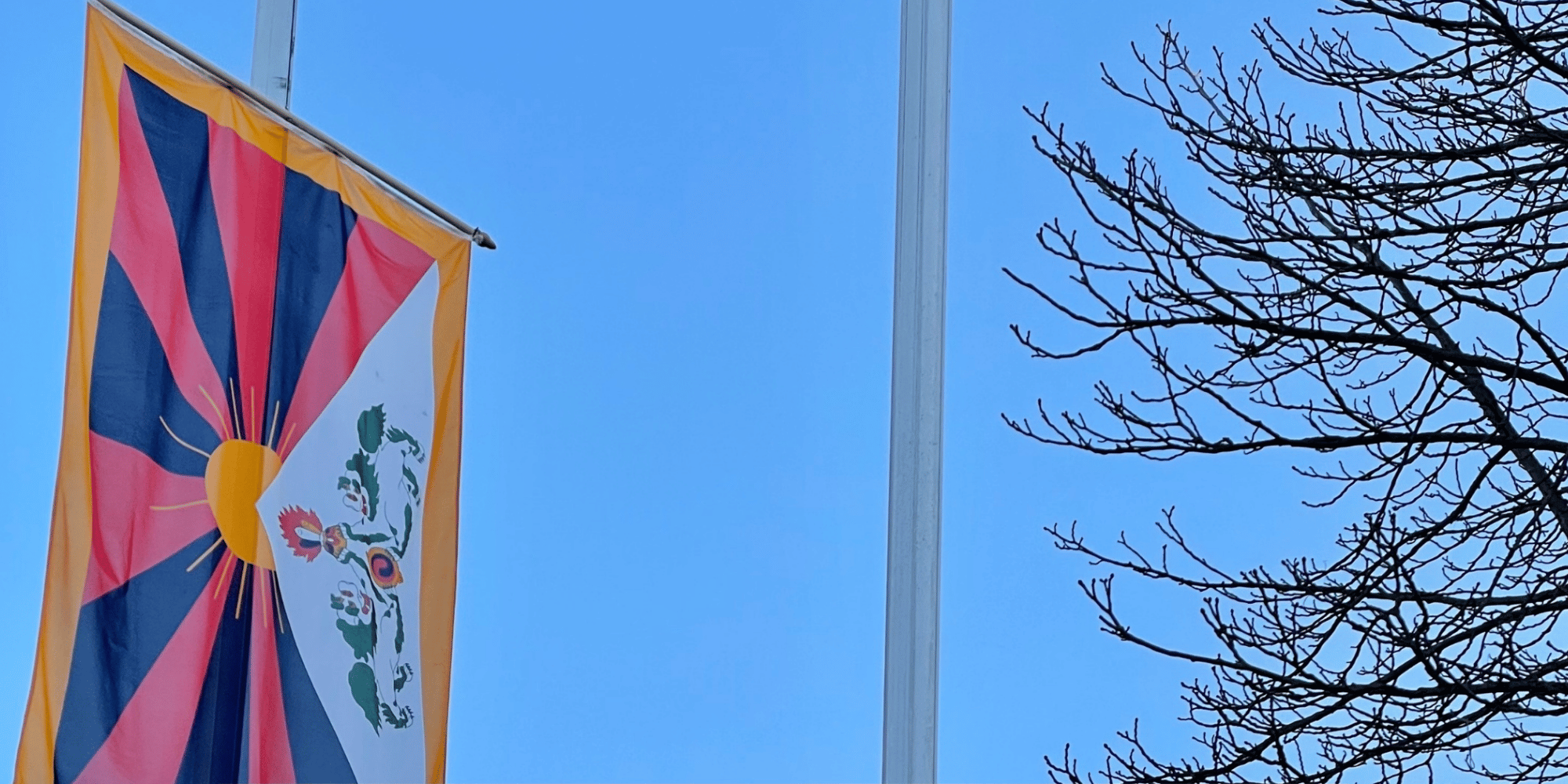 Kopie von Kopie von Foto für Pressemitteilungen (24 × 12 cm) - 1 Kopie von Kopie von Foto für Pressemitteilungen (24 × 12 cm) - 1