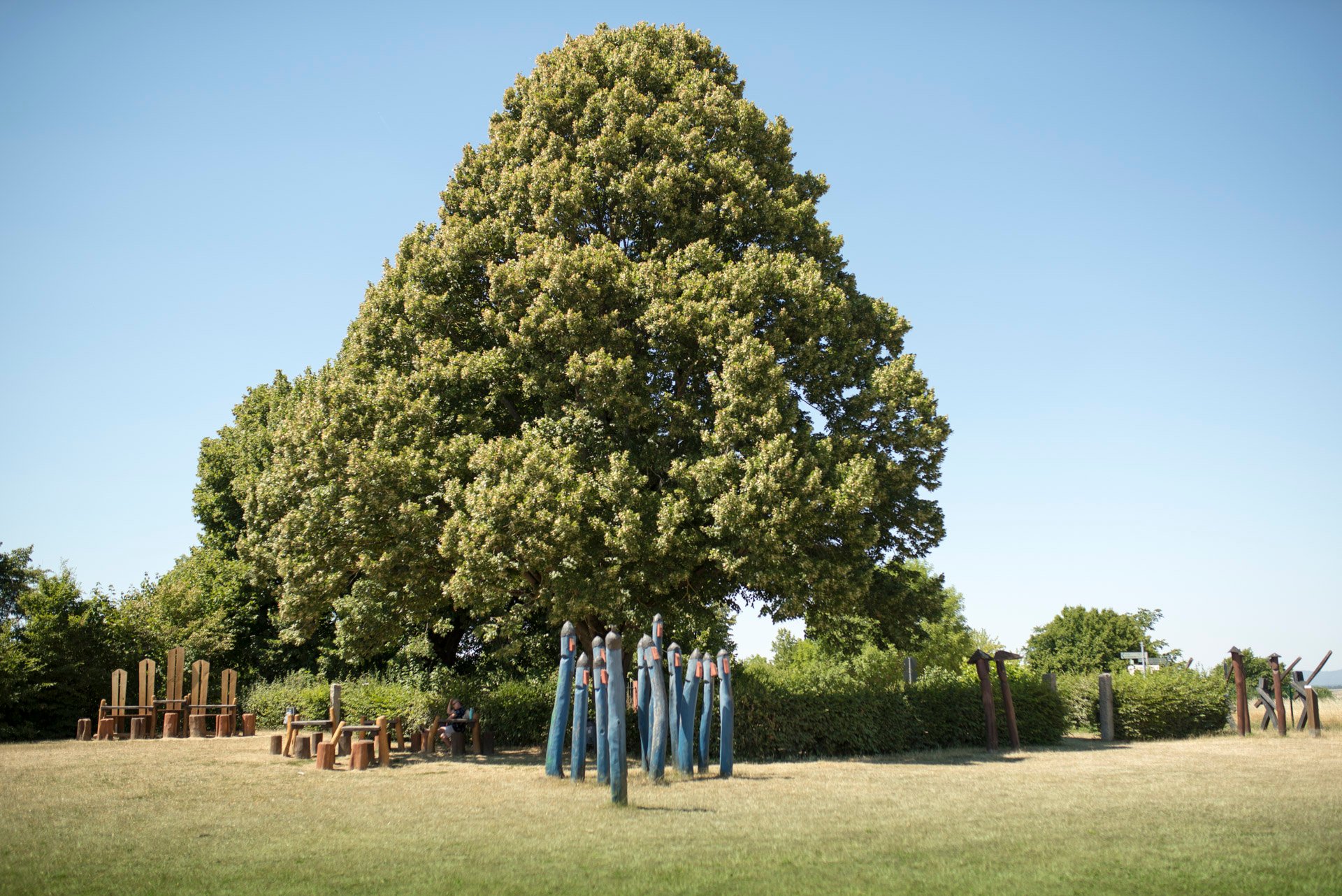 Ansicht Wartbaum im Sommer