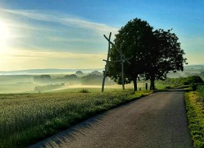 Wartbaum an der Hohen Straße bei Nidderau