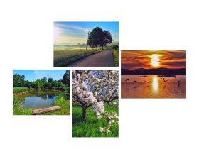 Collage aus Naturbildern in Nidderau