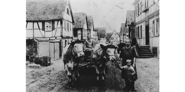 Ochsenkarren auf einer Straße zwischen Fachwerkhäusern