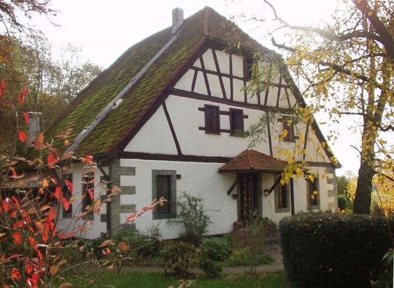 Fachwerkhaus mit Baum davor