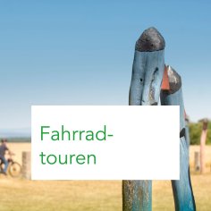 Radfahrer auf Hoher Straße mit Textbox "Fahrradtouren"